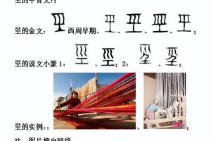 劲的拼音怎么区分（劲的拼音怎么读音写）