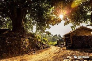 李姓宝宝起名大全男孩(李姓宝宝起名大全男孩名字)