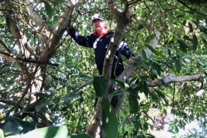 滘的简体字是什么意思（滘的简体字是什么意思啊）