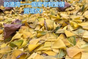 苛苛什么意思（苛苛是什么意思）