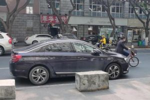 崧怎么读写（彝怎么读）