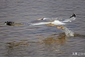 建材公司取名（建材公司取名大全最新版的）