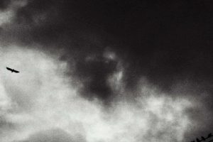 梦到遭遇洪灾逃难（梦见发洪灾很多人逃命）