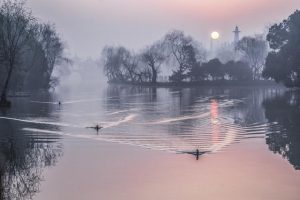 劲的拼音多音字组词（劲的拼音和组词）