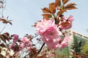 什么网名好听（什么网名好听又吸引人）