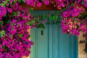 梦到秃头女人是怎么回事（女生梦见自己头秃）