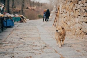 李姓宝宝起名大全男孩已时生（李姓宝宝起名大全男孩两个字）