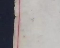 佃怎么读人名（佃怎么读什么意思）