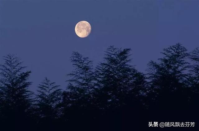 已婚女人梦见苹果树上结满苹果（梦见又红又大的苹果挂在树上）插图1