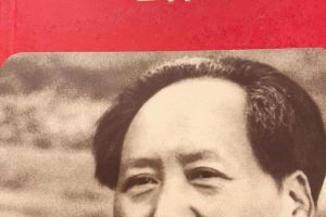 毛姓女孩取名大全（毛姓女孩取名大全两个字）