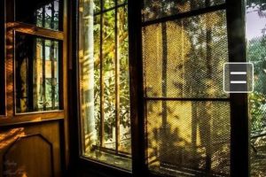 梦见自己被阳光照射（梦见太阳照射自己是什么意思）