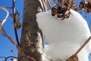 虔怎么读（虔怎么读_拼音）