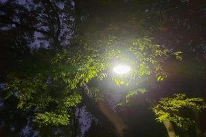 缗怎么读（曳怎么读）