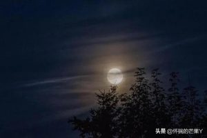 梦见芒果是什么预兆（孕妇梦见芒果是什么预兆）