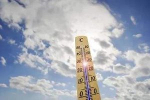 梦见香蕉是什么意思（梦见香蕉是什么意思_周公解梦）