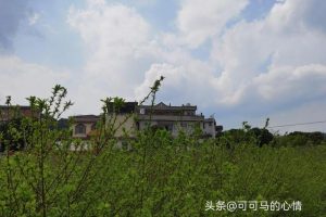 中国小姓有哪些(中国小姓有哪些名字)