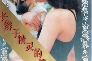 君须怜我_席绢(席绢最好看的古代几部小说)