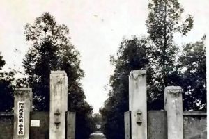 文学社名字有诗词寓意的有哪些（文学社名字及寓意）