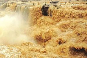 文学社名字有诗词寓意（大气_儒雅_的书香名字）