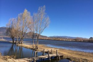 2020刘姓男孩取名打分最高（100分刘姓男孩取名）