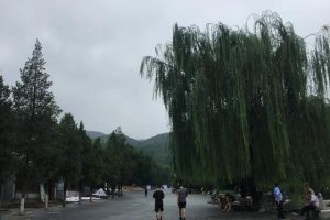 劲舞昵称符号大全可复制（劲舞昵称符号大全复制）