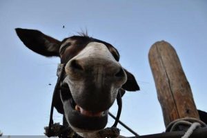 姓孔的名人有哪些（古代姓孔的名人有哪些）