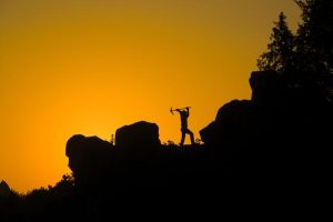 灯火阑珊夜未央下一句（未央出自哪里）