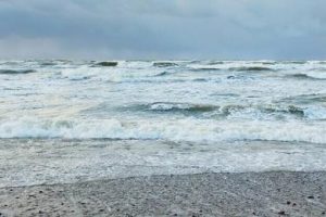 去什么取什么的成语（去什么取什么的成语反义词）