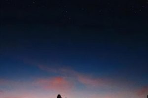 六个字的网名带诗意（六个字的网名带诗意女生）