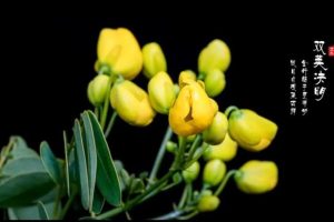 同学群名称比较有创意（小学同学群名称比较有创意）