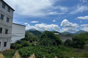 卢姓男孩起名大全2023属兔（卢姓男孩起名大全2023属兔带金字旁的名字）