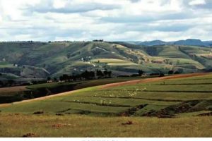 姜姓男孩起名2023年属兔缺金（姜姓男孩起名2023年属兔十月）