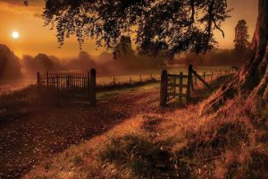 2023兔年龙凤胎名字(2023兔年龙凤胎名字小名)