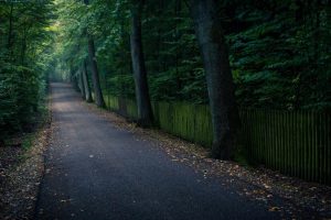 2023年免费起名(2023年免费起名字生辰八字)