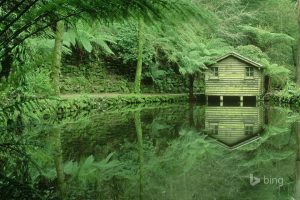 4000个好听的男孩名字(4000个好听的男孩名字兔年)