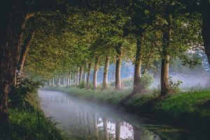 伟字取名的寓意(伟字取名的寓意男孩)