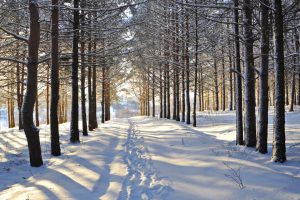 免费按生辰八字取名100分(起名字2023免费八字起名周易)