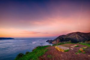 八哥鸟取名顺口(给八哥鸟起个大气名字大全)