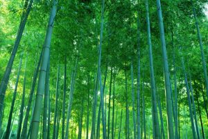 农牧业公司起名大全(农牧业公司起名大全敏)