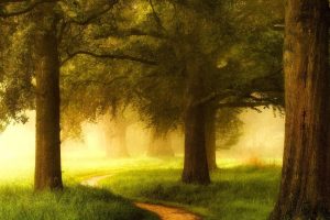 冰淇淋名字创意起名(冰淇淋名字创意起名高端)