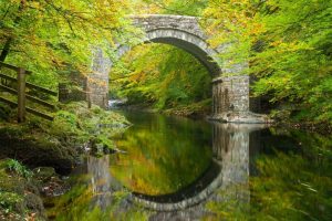 取名女(取名女孩)