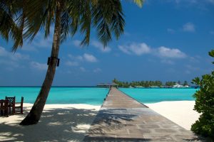 取名诗句(取名诗句女孩)