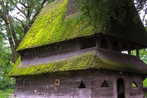 古风清雅的名字大全(古风清雅的名字大全女)