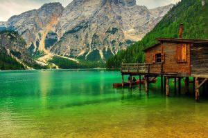 名典起名网(名典起名网姓名测试打分)