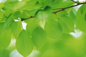 唐诗中大气的男孩名字(唐诗中大气的男孩名字单字)