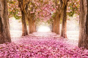 商店起名(商店起名大全免费取名大全)