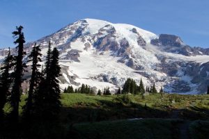 四字取名(四字取名字大全免费)