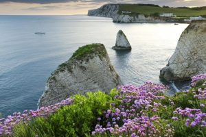 土旁的汉字男孩名字大全(土旁的汉字男孩名字大全三个字)