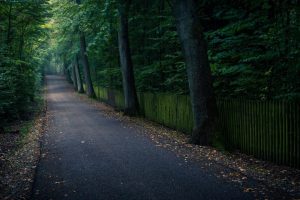 大酒店起名大全(大酒店起名大全集免费)