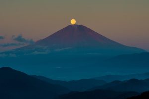 女孩名字用茉好不好(有水有草的兔宝宝名字)
